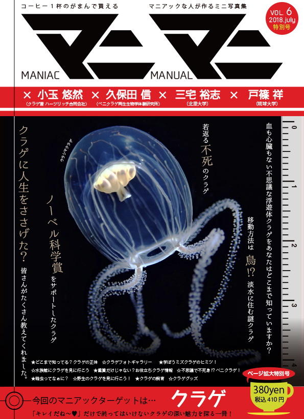 クラゲ